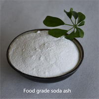 Carbonato de sodio blanco higroscópico para productos farmacéuticos